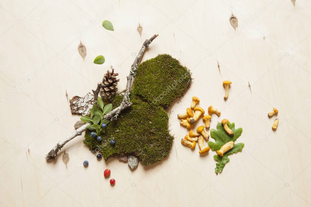Forest berries, stones, mushrooms and tree branches on moss. 