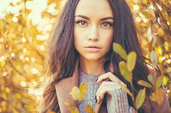 Bela senhora rodeado folhas de outono — Fotografia de Stock
