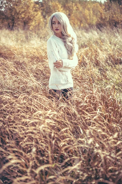 Bela senhora na paisagem de outono — Fotografia de Stock