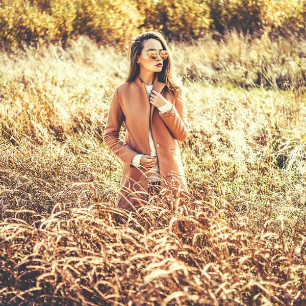 秋の風景の美しい女性 — ストック写真