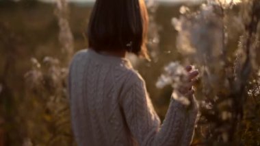 Genç ve güzel bir bayanın sonbahar manzarasında kuru çiçeklerle çekilmiş açık hava yavaş çekim videosu. Örgü süveter. Sıcak Sonbahar.