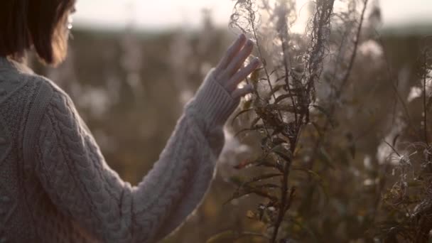 Livre Vídeo Câmera Lenta Jovem Bela Senhora Paisagem Outono Com — Vídeo de Stock