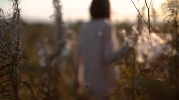 Открытое Замедленное Видео Молодой Красивой Дамы Осеннем Пейзаже Сухими Цветами — стоковое видео