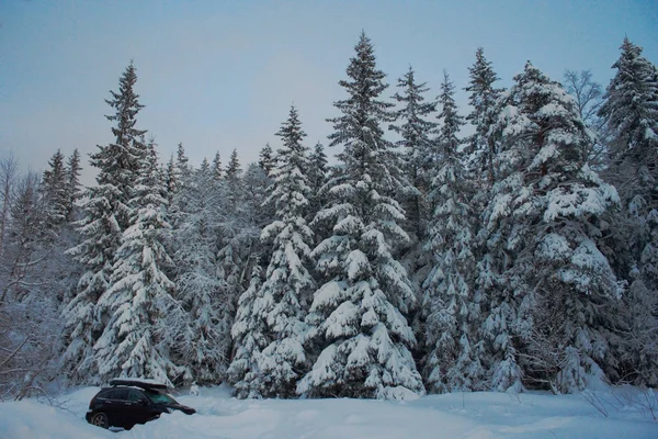 Northern view of a snowy tree wall and a car — Stock Photo, Image