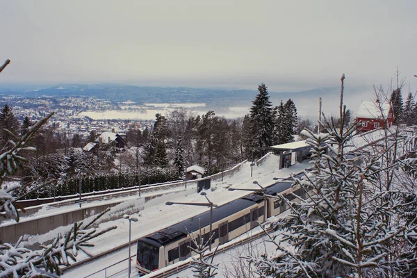 Winterscape Nära Oslo Norge Tågstationen Utanför Staden — Stockfoto