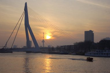 Rotterdam cityscape, trafik, binalar, mimari.