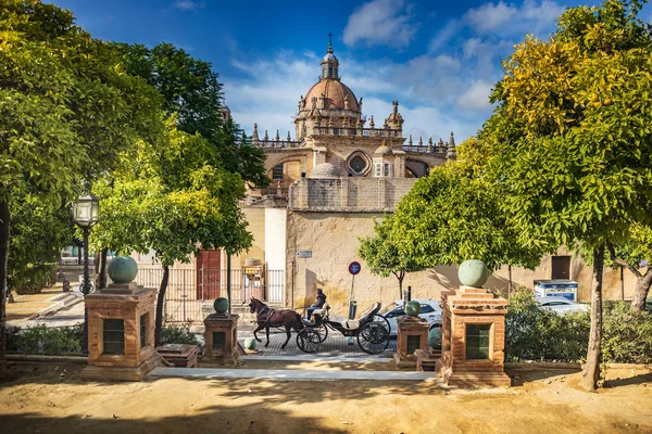 Katedrála v Jerez de la Frontera v Andalusii — Stock fotografie