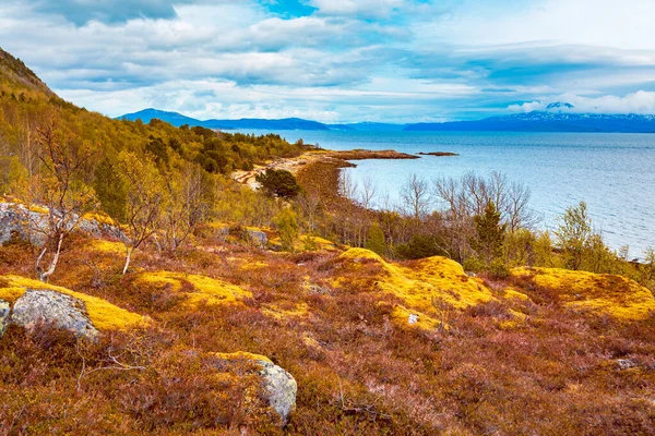 La isla de Senja en Noruega —  Fotos de Stock
