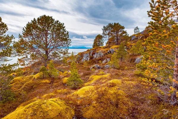 L'île Senja en Norvège — Photo