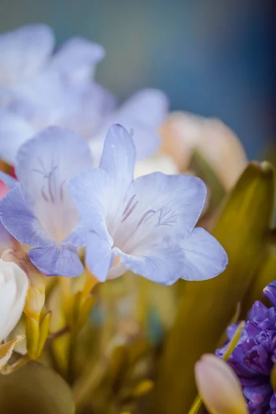 Bunch of spring flowers — Stock Photo, Image