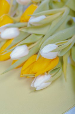 Paskalya çiçekleri