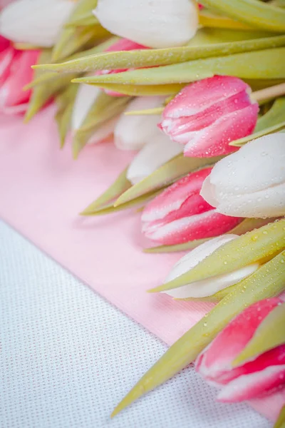 De paasbloemen — Stockfoto