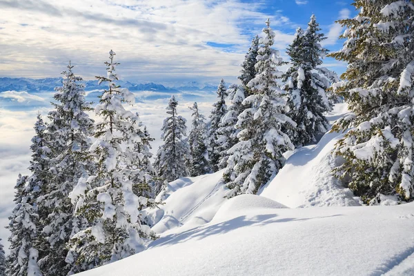 De Schneeberg — Stockfoto