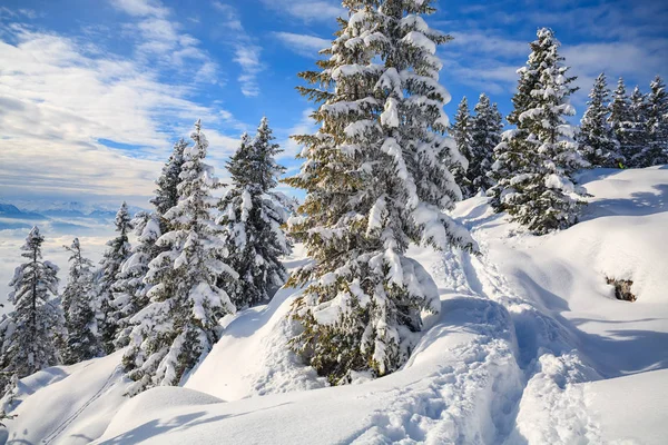 Mount Schneeberg – stockfoto