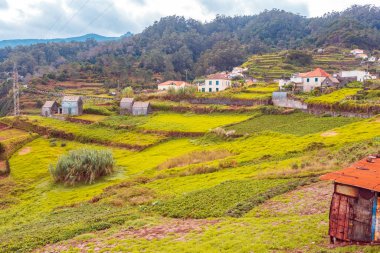 Madeira 'daki Roque Do Köyü