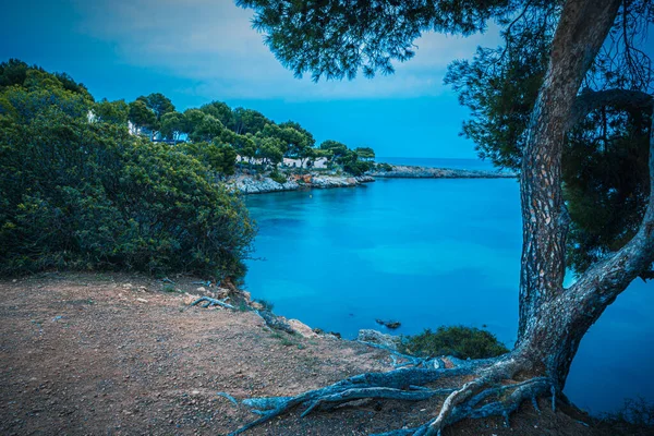 Mallorca sahil — Stok fotoğraf