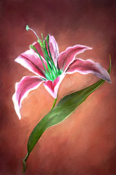 Grzywny sztuka lilia kwiat — Zdjęcie stockowe