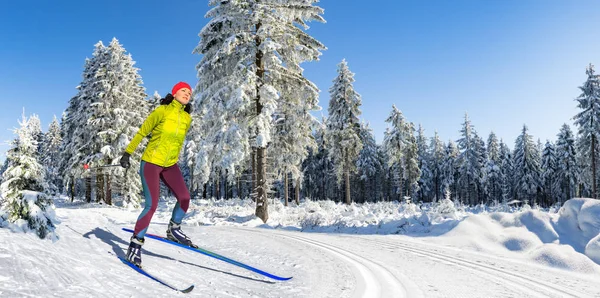 Langlauf nebo běh na lyžích — Stock fotografie