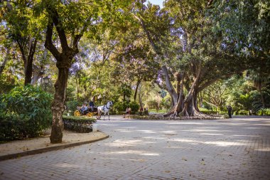 Endülüs 'ün Sevilla kasabası