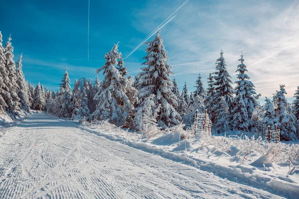 Skiing trail — Stock Photo, Image