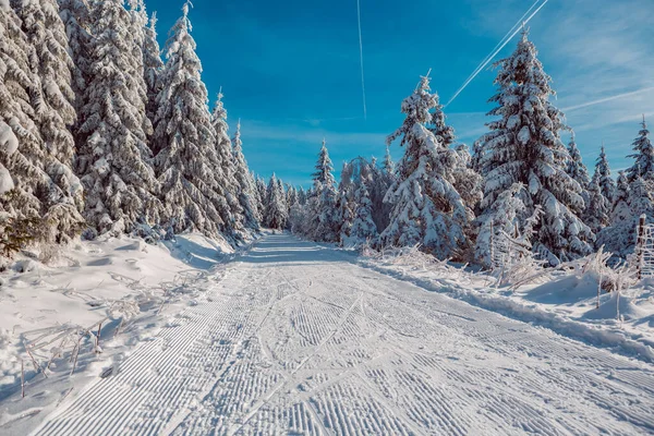 Pista de esqui — Fotografia de Stock