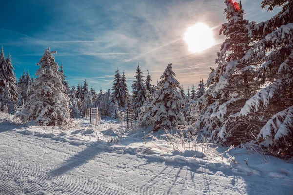 Skiing trail — Stock Photo, Image