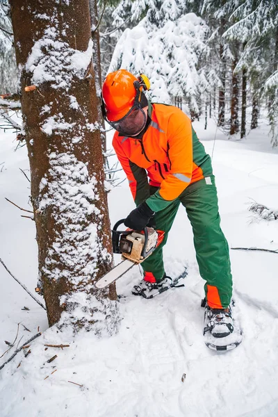 Lumberjack — Stock Photo, Image