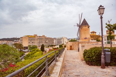 bir Palma de mallorca