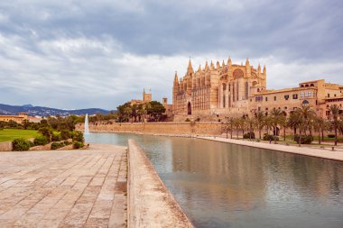 bir Palma de mallorca