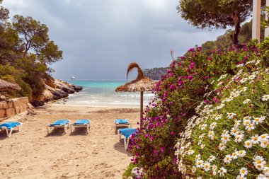 Portalları Vells Körfezi