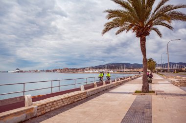 bir Palma de mallorca