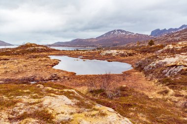 Senja 'nın bozkır manzarası. 