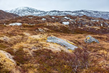 Senja 'nın bozkır manzarası. 