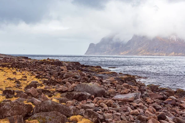 Die senja insel in norwegen — Stockfoto