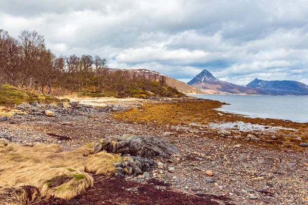 Fjordbotn på ön Senja i Norge — Stockfoto