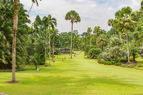 Jardins Botânicos de Singapura — Fotografia de Stock