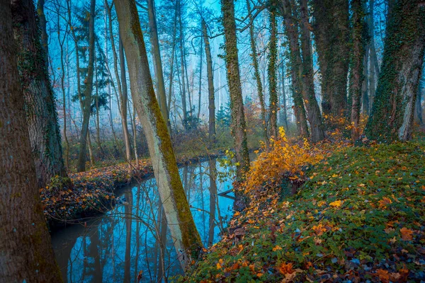 秋の古い公園 ドイツ ヨーロッパ — ストック写真