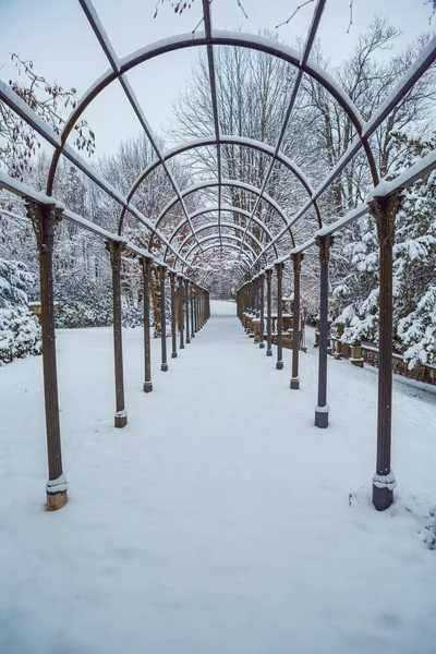 Escenas Invernales Del Castillo Hohenstein Cerca Coburgo Alemania — Foto de Stock