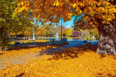 NUREMBERG, GERMANY - CIRCA OCTOBER, 2016: The city park alias Stadtpark in Nuremberg at fall, Germany