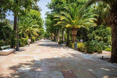 Malaga, Costa Del Sol, İspanya - Circa Mai, 2019: Endülüs'teki Costa del Sol'daki Malaga şehir manzarası, İspanya