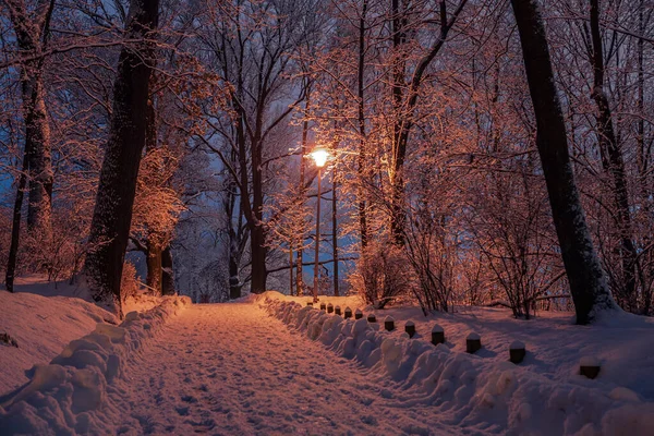 Éjszakai Jelenetek Téli Coburg Város Németországban — Stock Fotó