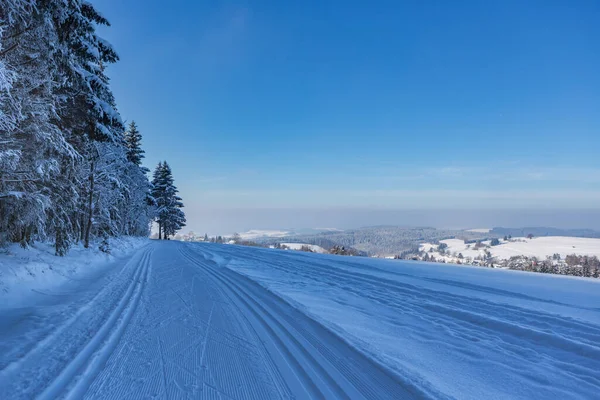 Winterse Bos Met Skiën Parcours Duitsland — Stockfoto
