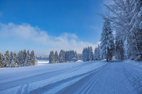 Зимовий Ліс Катання Лижах Стежка Німеччині — стокове фото