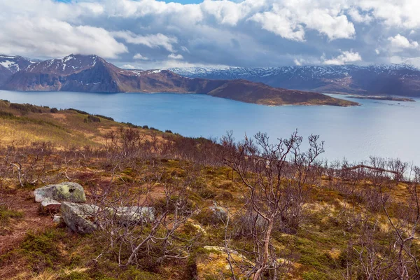Widok Krajobrazu Wyspy Senja Góry Husfjellet Norwegii — Zdjęcie stockowe