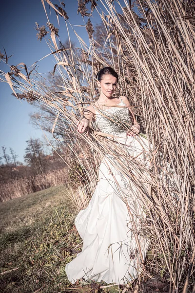 Outdoor Portrait Bride Bridal Bouquet Wedding Dress — Stock Photo, Image