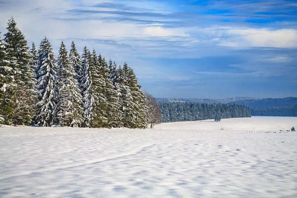 Bosque Invierno Bajo Nueva Nieve Alemania — Foto de Stock