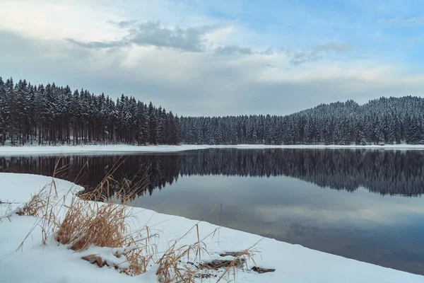 Winter Forest Lake Early Morning — Stock Photo, Image
