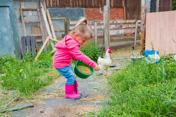 Niña Alimentando Los Pollos Frente Granja — Foto de Stock