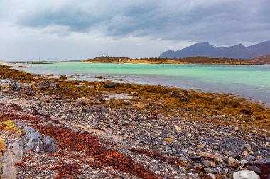 Straumsnes Norveç'te Senja ada manzaralı