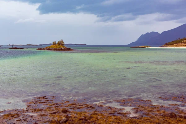 Vista Paisagem Ilha Senja Perto Straumsnes Noruega — Fotografia de Stock